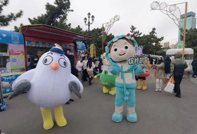 解锁青岛“冬游”，十万只海鸥发出雪片似的邀约