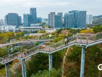 打翻调色盘！青岛这座公园初冬如画