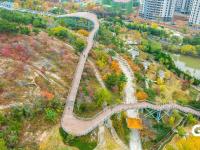 打翻调色盘！青岛这座公园初冬如画