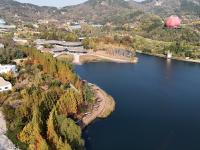 处处皆美景，初冬的世博园被焦糖色填满