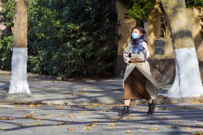 大雾大风“双黄”预警！鲁苏等地强浓雾，蒙鲁等地阵风达7至8级