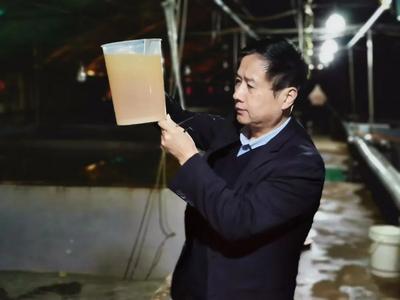 名单公示！青岛科技奖最高奖，拟授予这位院士