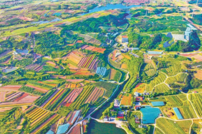 从一个片区，看山东乡村的变与新：走在前，靠什么？