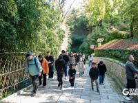 静美如画，竹子庵公园秋意盎然