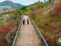 打翻调色盘！青岛这座公园初冬如画