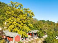 静美如画，竹子庵公园秋意盎然