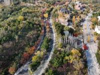 处处皆美景，初冬的世博园被焦糖色填满