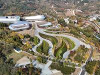 处处皆美景，初冬的世博园被焦糖色填满