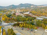 “秋日限定”上线！世博园赏秋正当时