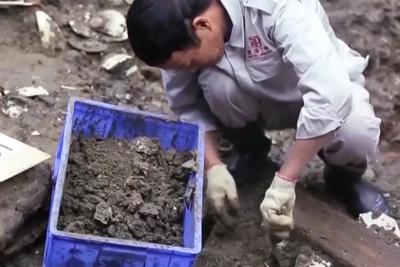 沉睡800年，“南海Ⅰ号”沉船保护现场首次开放