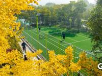 李村河畔体育场“上新”，市民尽享运动乐趣