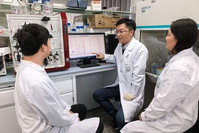 我国科研人员发现有效抑制“蜱虫病”的抗体组合