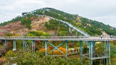 打翻调色盘！青岛这座公园初冬如画