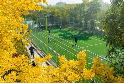 李村河畔体育场“上新”，市民尽享运动乐趣