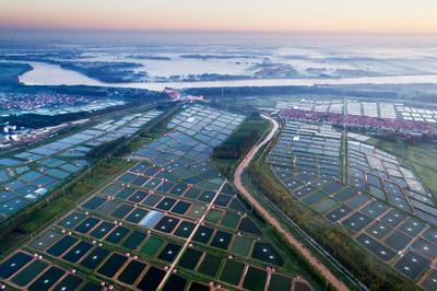 沿着黄河遇见海 | 低空经济腾飞起势 盐碱地上绘出振兴新图景