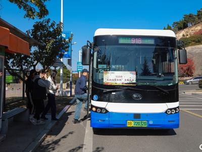开启一场与红枫的浪漫邂逅！城阳巴士“太和山赏红枫”主题车厢上路