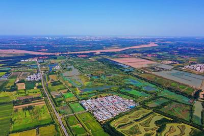 行进中国丨黄河边，乡亲们吃上了“生态饭”