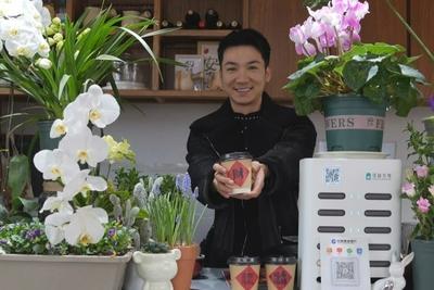 超百万人打卡这个镇，“顾乡平野” 何以磁吸青年创业？