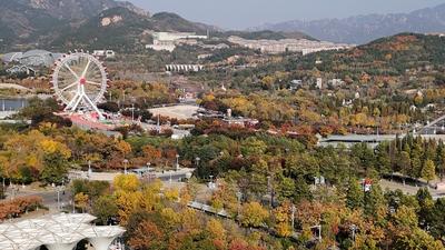 处处皆美景，初冬的世博园被焦糖色填满