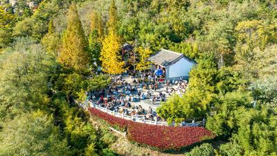 静美如画，竹子庵公园秋意盎然