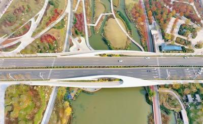 再迎关键节点！青岛“最热”片区如何升级“主城价值”