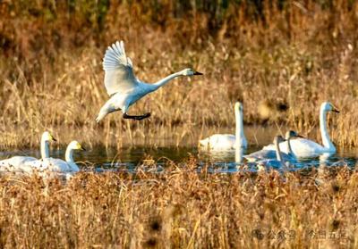 日照这个艺术地标有个“不飞无人机”的约定