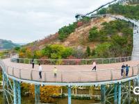 打翻调色盘！青岛这座公园初冬如画