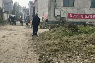 阴雨天气农民忙排涝，村里却在宣传“秸杆禁烧”