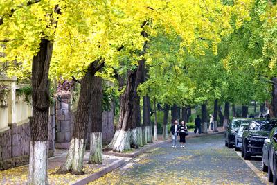 青岛今天晴间多云有轻雾，市区最高气温17℃，最低气温14℃