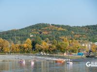 “秋日限定”上线！世博园赏秋正当时