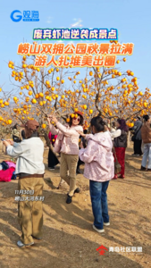 廢棄蝦池逆襲成景點 大河東村這個雙擁公園美到出圈