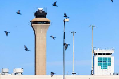 政府“停摆”持续，美国当天已取消890趟航班