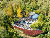 静美如画，竹子庵公园秋意盎然