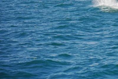 航行警告！明日黄海部分海域有军事活动