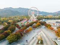 “秋日限定”上线！世博园赏秋正当时