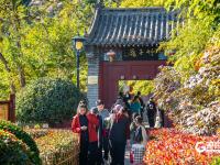 静美如画，竹子庵公园秋意盎然