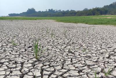 研究：2023年亚马孙部分湖泊温度“高过洗澡水”