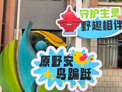 羽你同行，共建美丽山东 | 我省开展打击非法猎捕交易食用野生鸟类专项行动