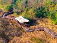 初冬自然调色板！唐岛湾湿地尽显生态之美