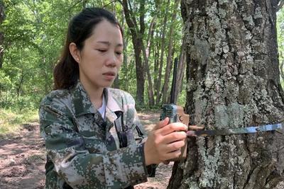 这个上过春晚的姑娘，敢进深山老林守护虎豹！