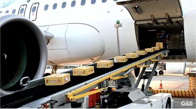 “四港联动”！青岛构建高效智能“货畅其流”新格局