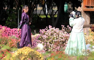 青岛农业大学举办“秋韵芳华，意满庭花”秋日游园会