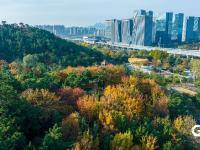 打翻调色盘！青岛这座公园初冬如画