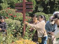 明媚秋日，一起出游吧！