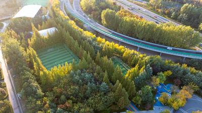 秋色渐深！青岛这里藏着一处“活力绿洲”