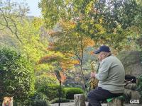 明媚秋日，一起出游吧！