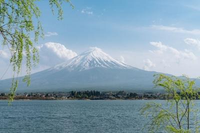 订单大量取消，日本旅游业日子“很难过”