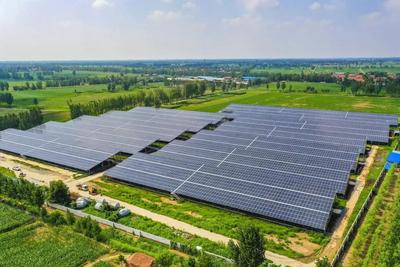 片区化推进乡村振兴的山东实践 | 连片振兴的齐鲁实践