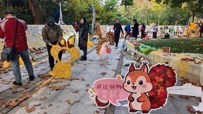 走，去八大关“捡秋”！八大关秋叶节今日正式启动