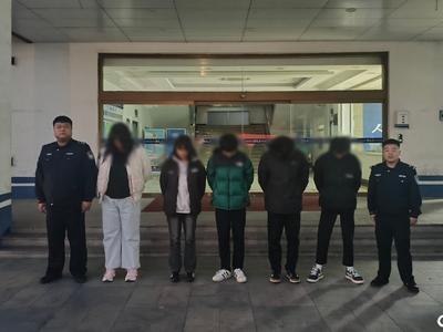 打电话“兼职”，一小时1000元？这五个人一合计，结果……